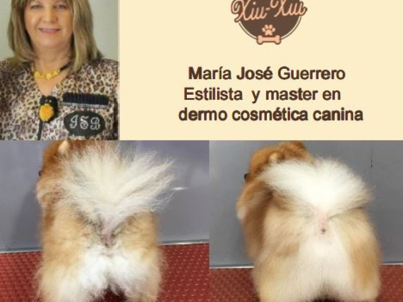 Consultas 