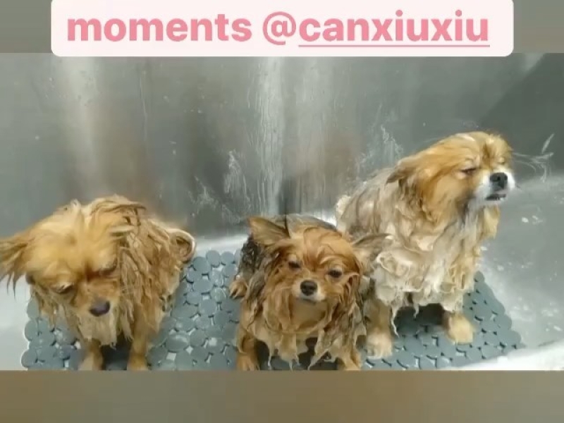 Instagram 