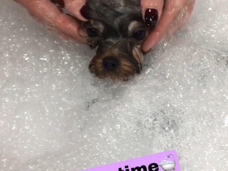 Instagram 
