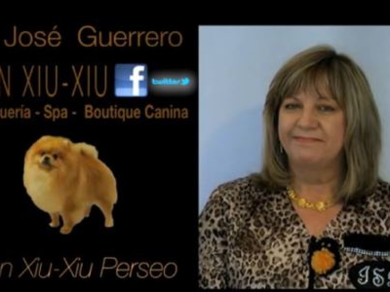 Vídeos de peluquería canina 