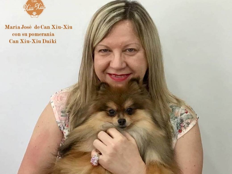 Vídeos de peluquería canina 