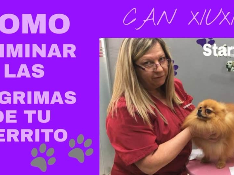 Vídeos de peluquería canina 