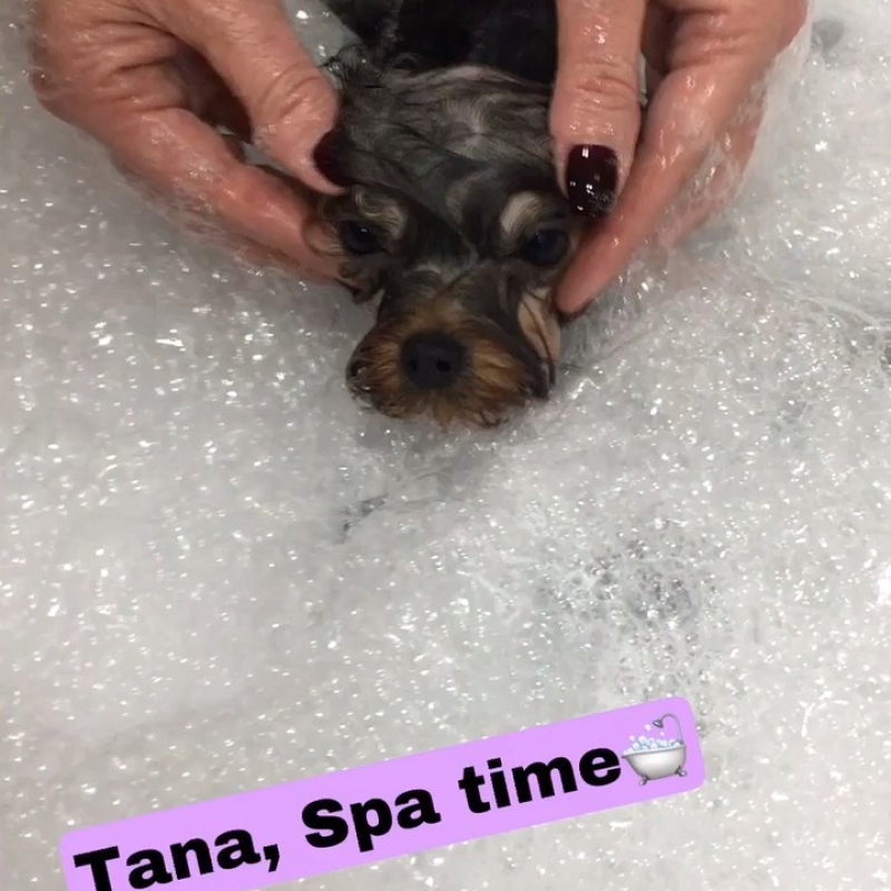 Instagram 