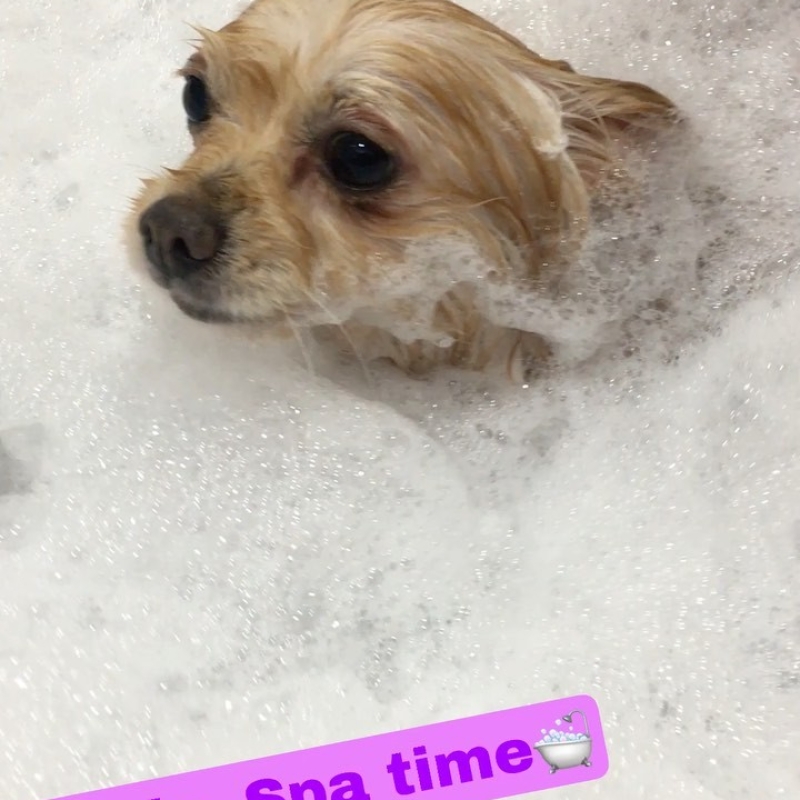 Instagram 