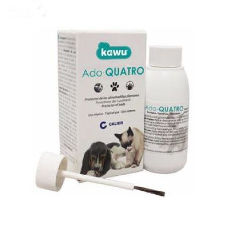 Productos 