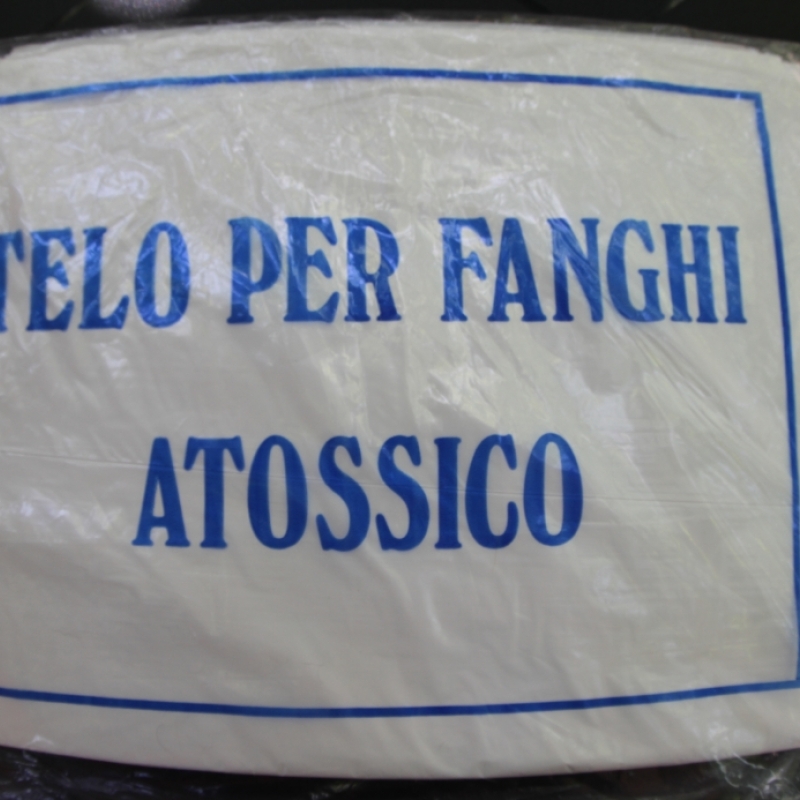 Productos 