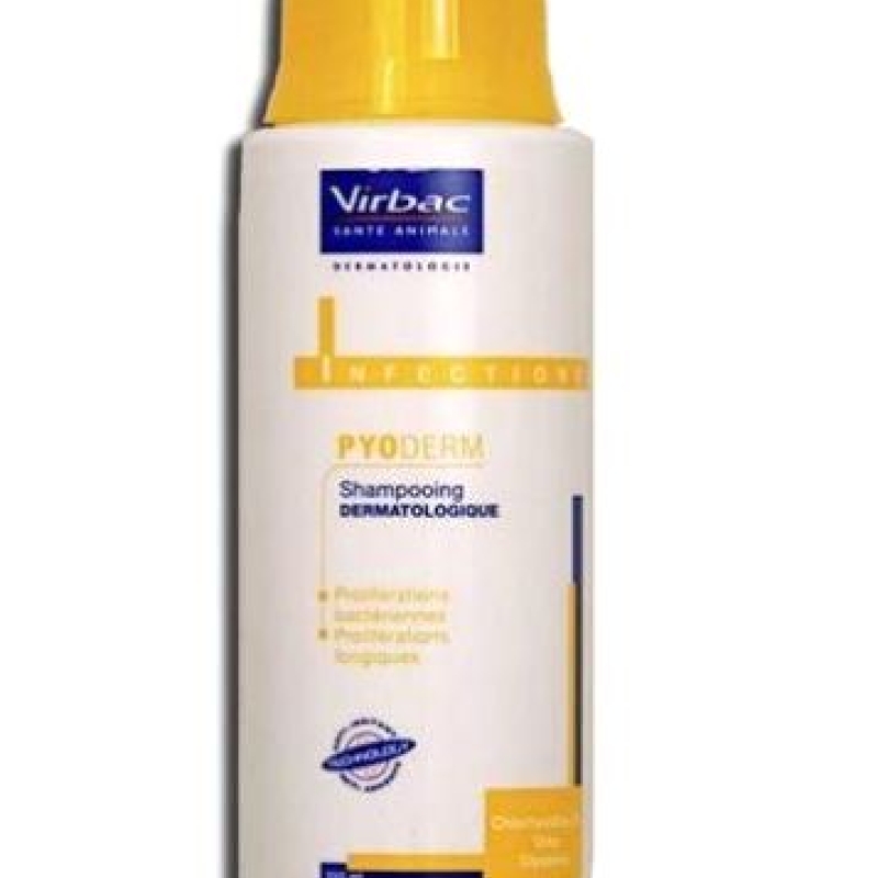 Productos 