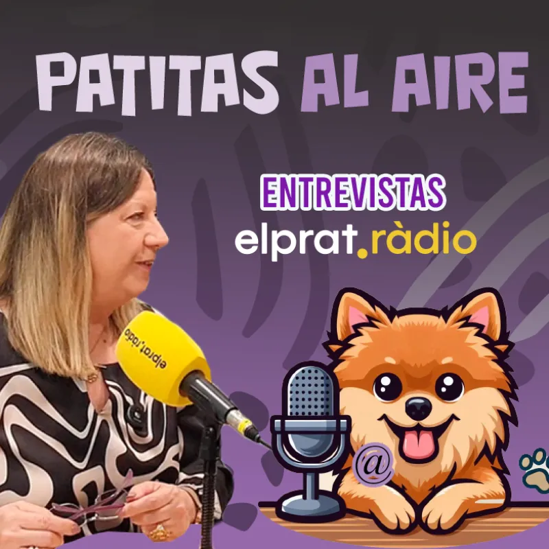Todo sobre nosotros 