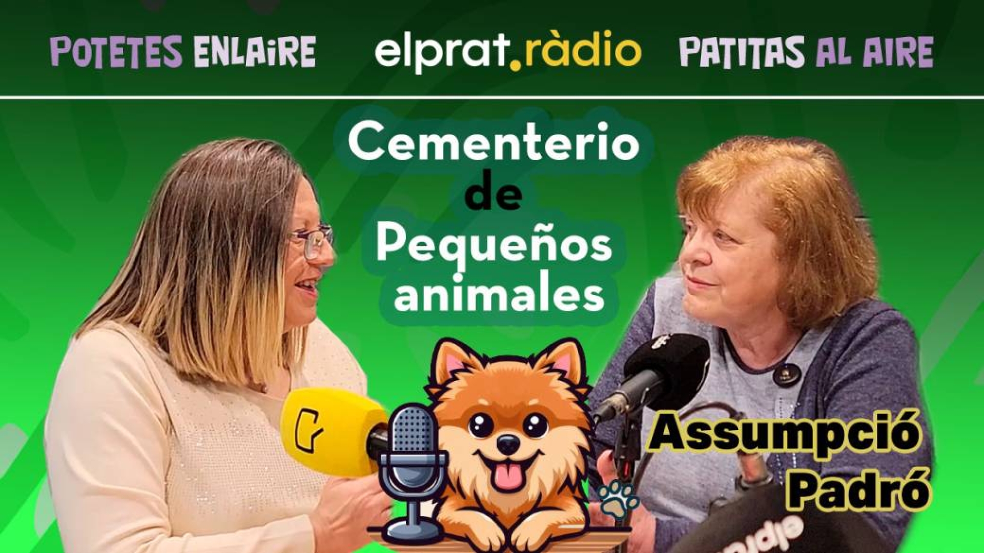 Entrevistas 