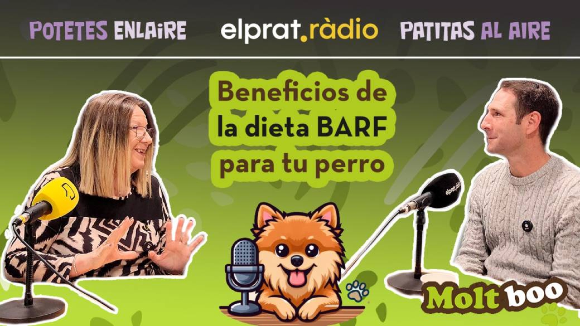 Entrevistas 