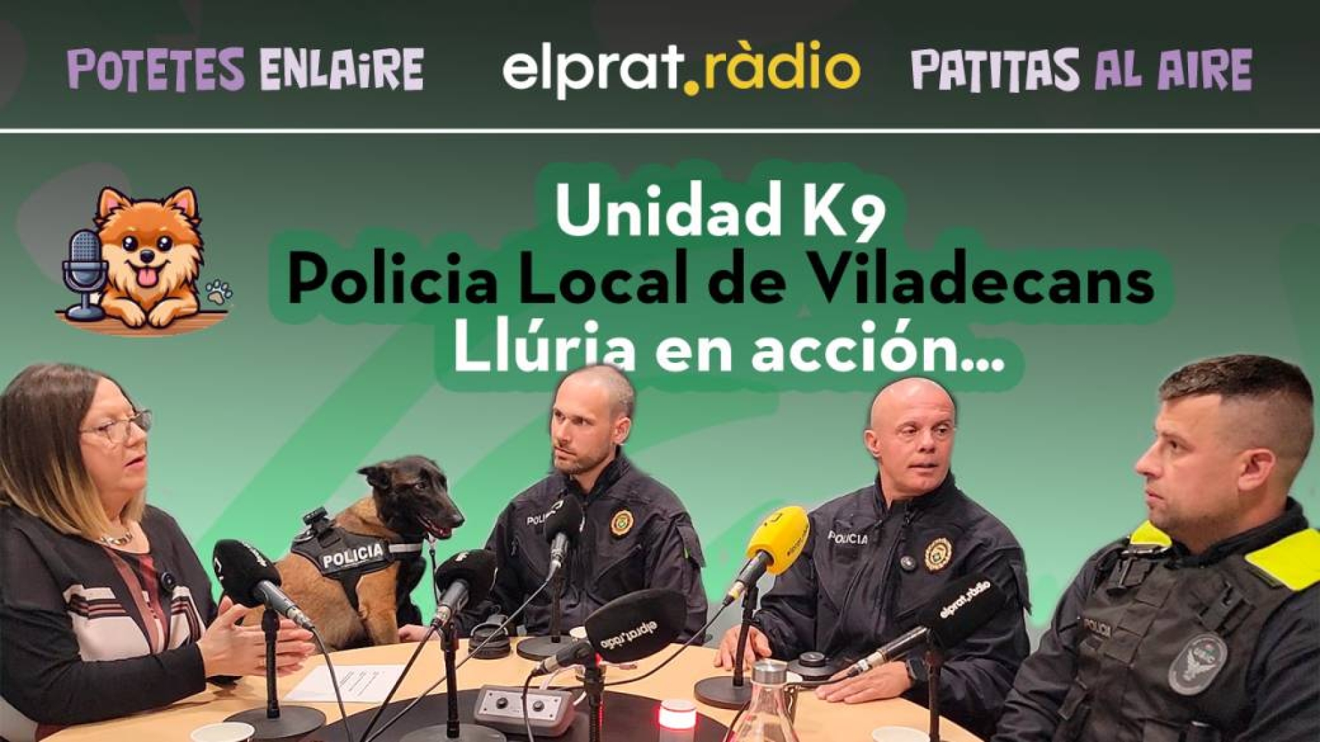 Entrevistas 