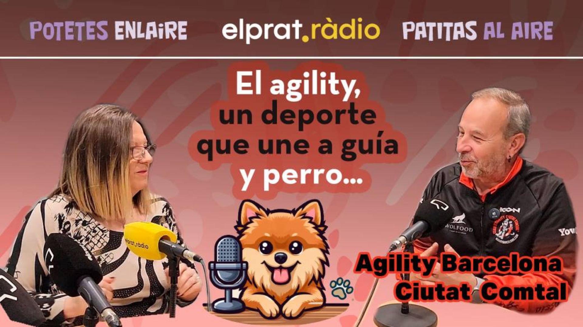 Entrevistas 