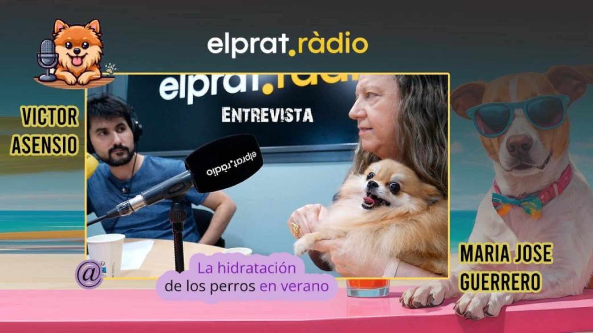 Entrevistas 