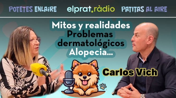 Entrevistas 