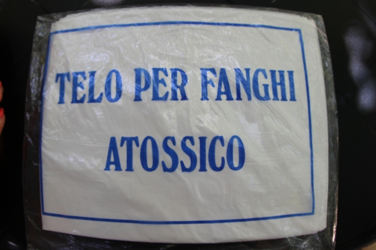 Productos 